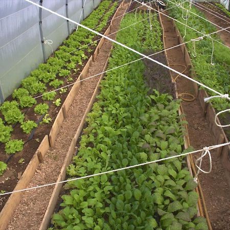 Appartamento Casa L&M Lajes das Flores Esterno foto
