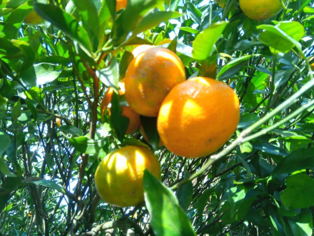 Appartamento Casa L&M Lajes das Flores Esterno foto
