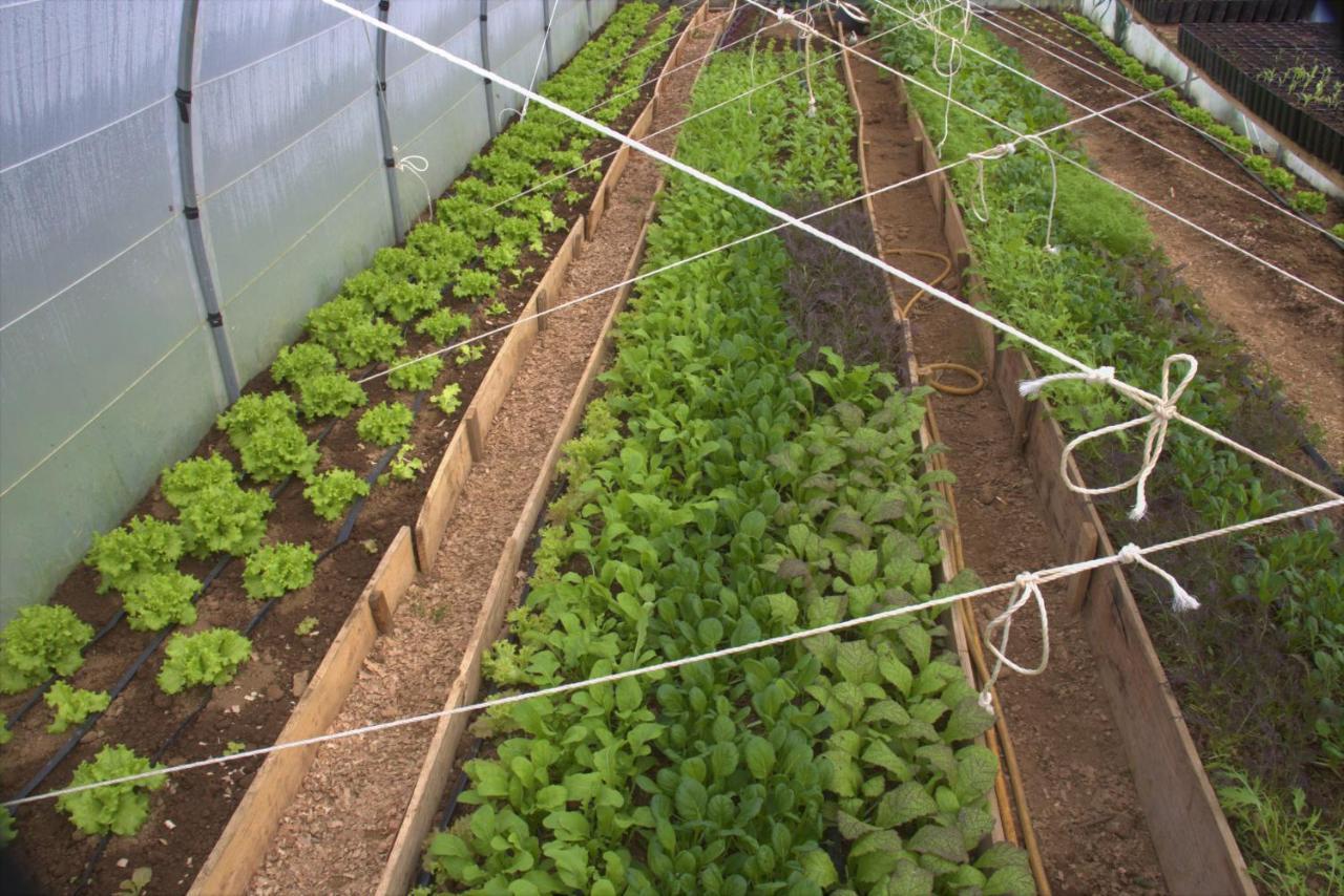 Appartamento Casa L&M Lajes das Flores Esterno foto