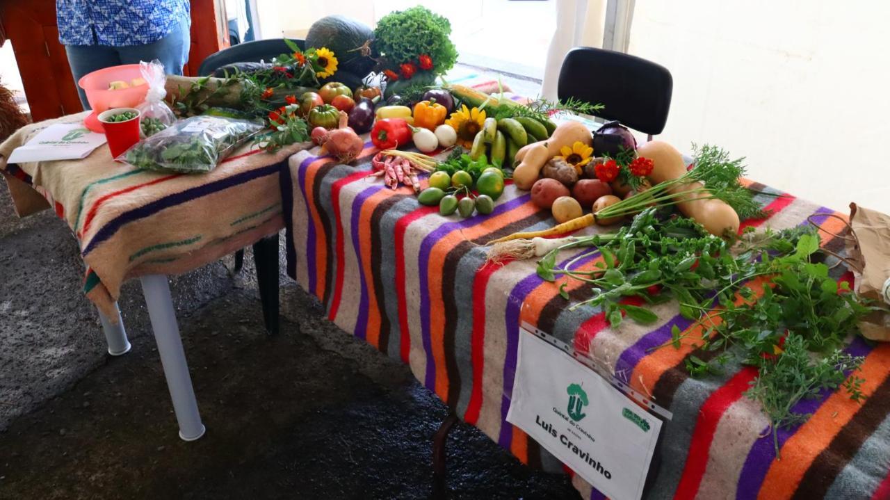 Appartamento Casa L&M Lajes das Flores Esterno foto