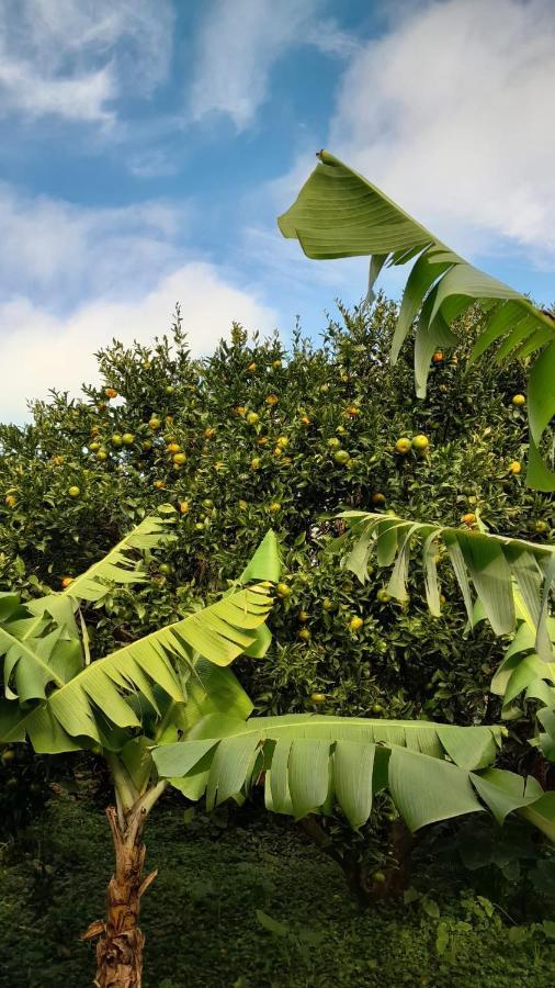 Appartamento Casa L&M Lajes das Flores Esterno foto