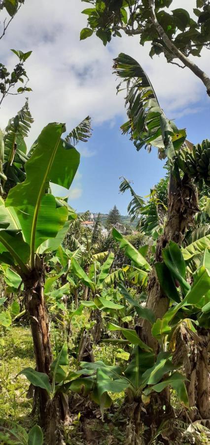 Appartamento Casa L&M Lajes das Flores Esterno foto